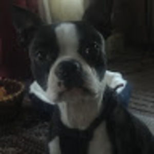 Meet your Posher, Brian